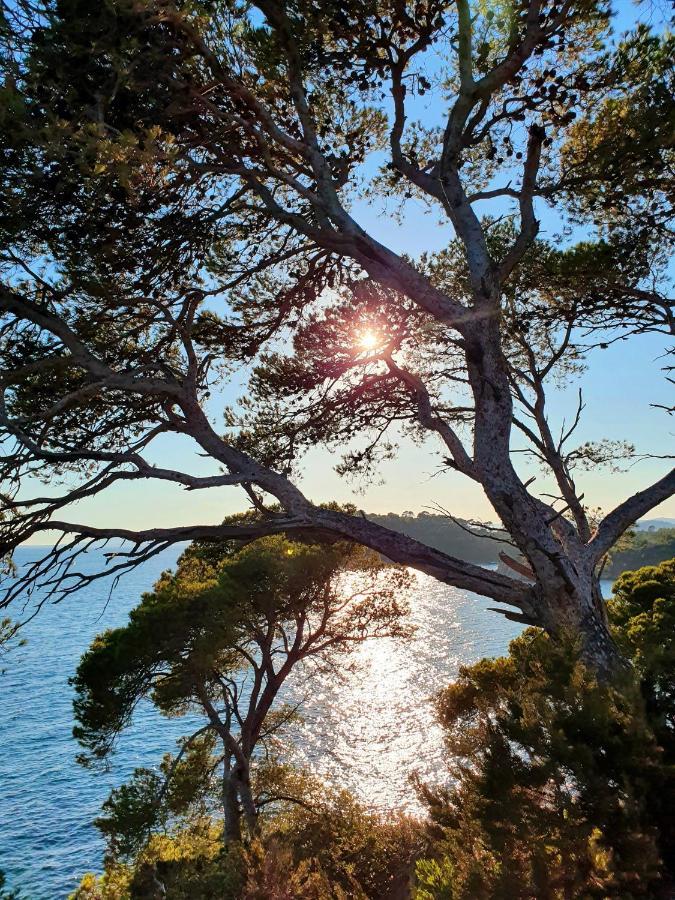 Darshan Zen Collobrières Dış mekan fotoğraf